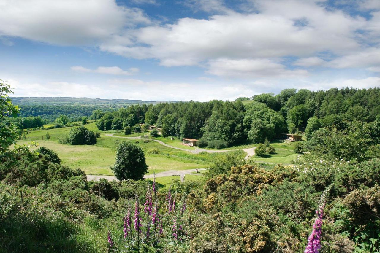 Yorkshire Dales Lodge 3 Family 3 Bed ريتشموند المظهر الخارجي الصورة