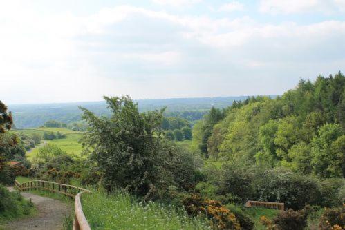 Yorkshire Dales Lodge 3 Family 3 Bed ريتشموند المظهر الخارجي الصورة